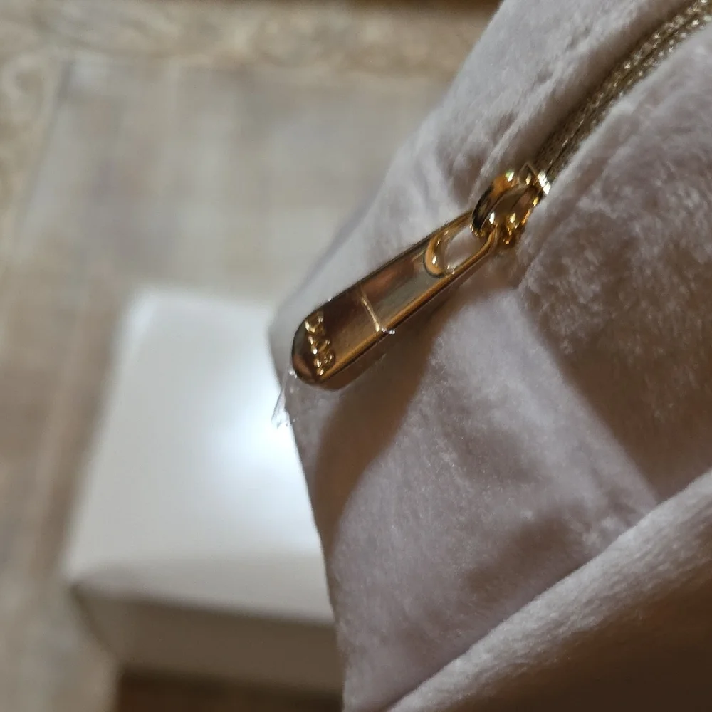 Dior authentic christian